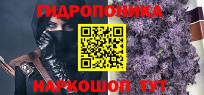 гашик Обнинск