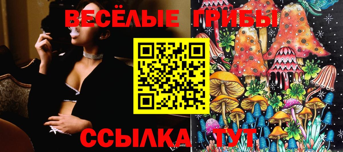 даркнет сайт  Галлюциногенные грибы Psilocybine cubensis  Вход с VPN  Строитель 
